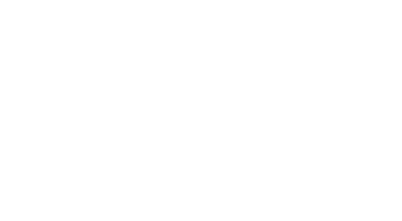 Towards Innovation and Magnificence